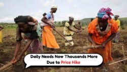 August 2025 Sees 12% Surge in Food Prices: Families Brace for Soaring Monthly Expenses