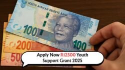 Want to Claim R12,500 Cash for Youth? Ensure You're Eligible Before Applications Open on August 20!