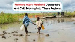 Brace Yourself: South Africa Faces Weekend Disruption with Heavy Rain and Cold Front