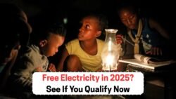 Exciting News for South Africans: How to Apply for Free Basic Electricity 2025 Now!