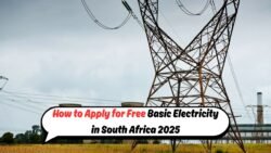 Discover Who Qualifies for South Africa's Free Electricity and How to Apply!
