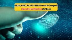 Biometric Verification Needed for SASSA Grants R2,315, R560, and R1,250 โ Act Now!