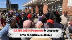 SASSA Freezes 12,000 Grants Just Before August 20 – Are Your Payments at Risk?