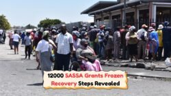 Why 12,000 SASSA Grants Were Stopped in September 2025: The Path to Reinstatement