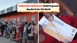 12,000 SASSA Grants Canceled: R2,350 Payments Axed Before August 20