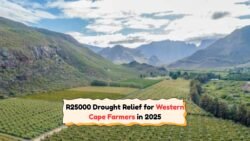 Western Cape Farmers Secure R25,000 Drought Relief: Discover the 2025 Qualification Rules!